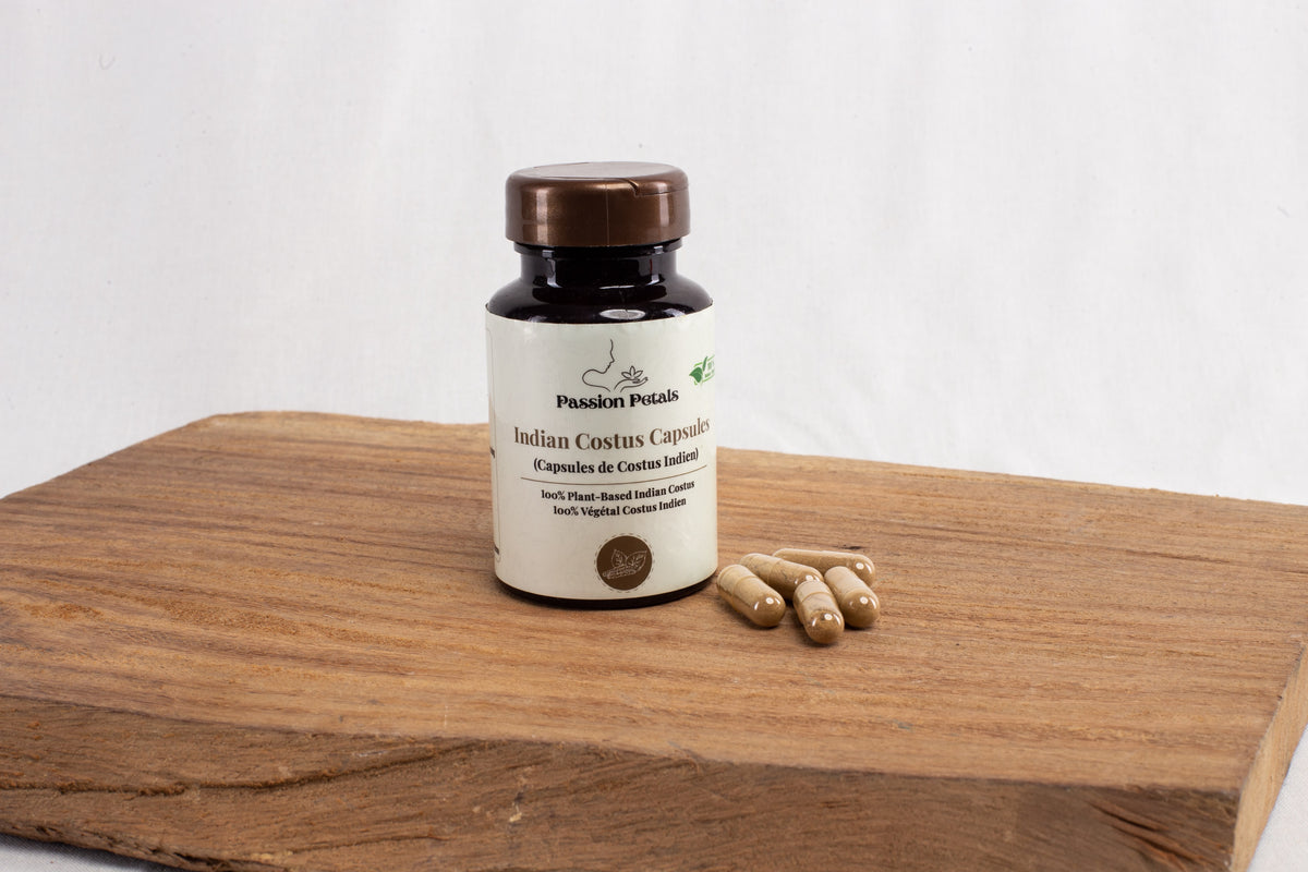 Capsules de Costus Indien