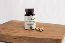 Capsules de Costus Indien