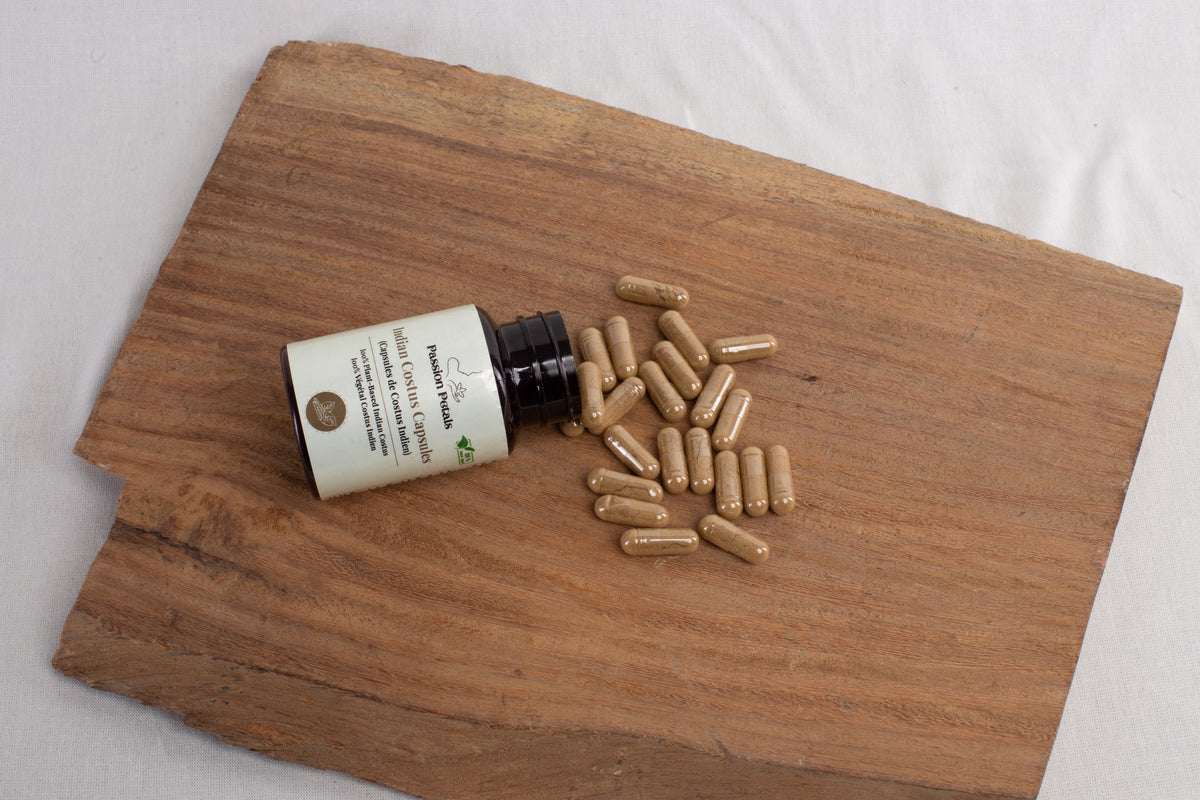 Capsules de Costus Indien